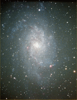 M33